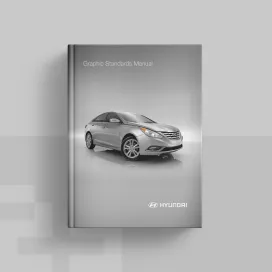 Hyundai 2011
